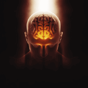 4 Niveles de Conciencia