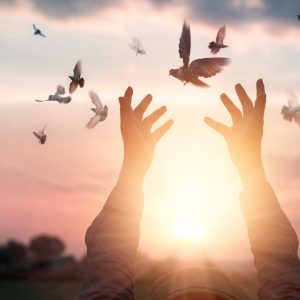 Emprendimiento Espiritual